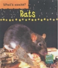 Rats - Book