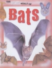 The Secret World of: Bats - Book