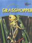 Raintree Perspectives: Life Cycles - the Life of a Grasshopper - Book