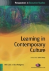 Learning in Contemporary Culture - eBook