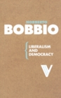 Liberalism and Democracy - Book