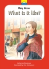 Mary Slessor : What is it like? - Book