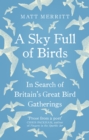 A Sky Full of Birds - Book