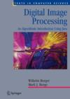 Digital Image Processing : An Algorithmic Introduction Using Java - Book