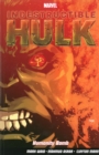 Indestructible Hulk Vol. 4: Humanity Bomb - Book