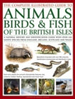 The Complete Illustrated Guide to Animals, Birds & Fish of the British Isles : A Natural History and Identification Guide with Over 440 Native Species from England, Ireland, Scotland and Wales - Book