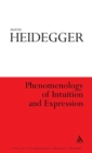 Phenomenology of Intuition and Expression - Book