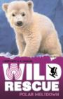 Polar Meltdown - Book