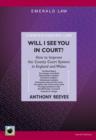 Will I See You In Court? : How to Improve the County Courts in England and Wales - Book