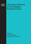 The Financial Sector in the Enlarging European Union - Book