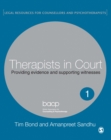 Therapists in Court : Providing Evidence and Supporting Witnesses - eBook