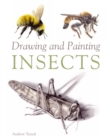 Drawing and Painting Insects - eBook