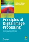 Principles of Digital Image Processing : Core Algorithms - Book