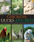 Chickens, Ducks and Bees : A beginner's guide to keeping livestock in the garden - eBook