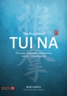 The Practice of Tui Na : Principles, Diagnostics and Working with the Sinew Channels - Book