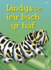 Cyfres Dechrau Da: Lindys ac Ieir Bach yr Haf - Book