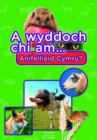 Cyfres a Wyddoch Chi: A Wyddoch Chi am Anifeiliaid Cymru? - Book