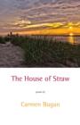 The House of Straw - Book