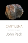 Cantilena : One Book in Four Spans - Book