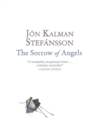 The Sorrow of Angels - eBook