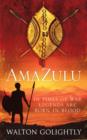 Amazulu - eBook