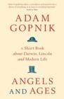 Angels and Ages : A short book about Darwin, Lincoln and modern life - eBook