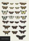 Natural History Museum Butterflies Notebook - Book