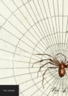 Natural History Museum: The Spider Notebook - Book