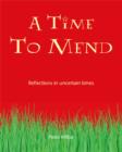 A Time to Mend - eBook