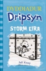 Dyddiadur Dripsyn: Storm Eira - Book