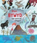 Stori Bywyd - Book