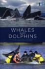 Whales and Dolphins : Cognition, Culture, Conservation and Human Perceptions - Book