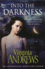 Into the Darkness - Book