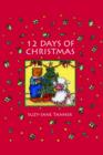 12 Days of Christmas - eBook