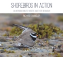 Shorebirds in Action : An Introduction to Waders and Their Behaviour - Book