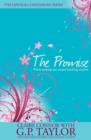 The Promise : The Story of Abraham - eBook