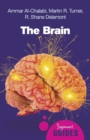 The Brain : A Beginner's Guide - Book