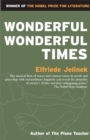 Wonderful, Wonderful Times - Book