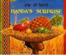Handa's Surprise in Panjabi and English - Book
