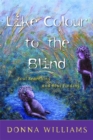 Like Colour to the Blind : Soul Searching and Soul Finding - Book
