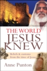 The World Jesus Knew : Beliefs and customs from the time of Jesus - Book