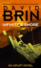 Infinity's Shore - Book