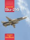 Sukhoi Su-24: Famous Russian Aircraft - Book