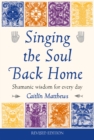 Singing the Soul Back Home : Shamanic wisdom for every day - Book
