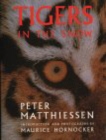 Tigers in the Snow - Book