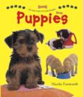 Say and Point Picture Boards: Puppies - Book