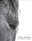 Wild Horses of Cumberland Island - Book