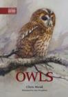 Owls - Book