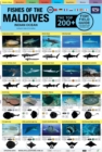 Maldives Fish Field Guide "Top 200+" - Book