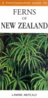 Photographic Guide To Ferns Of New Zealand - Book